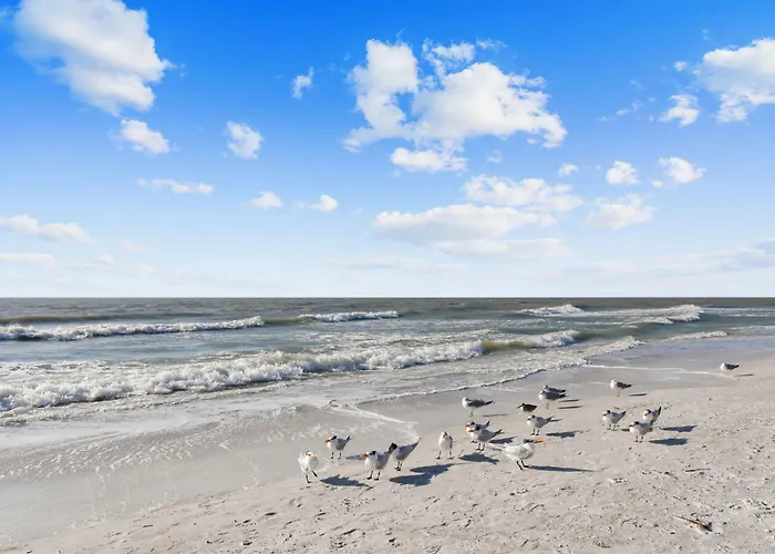 4bedroom Condo-gulf Views-on The Clearwater Beach